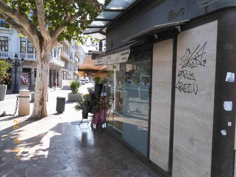 A tree-lined street and a small booth selling fresh flowers